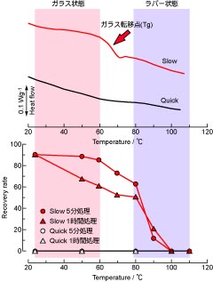 図3: DSC解析によるガラス転移温度(上)と熱耐性(下)との関係