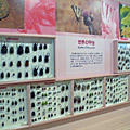 リニューアルされた昆虫の展示室